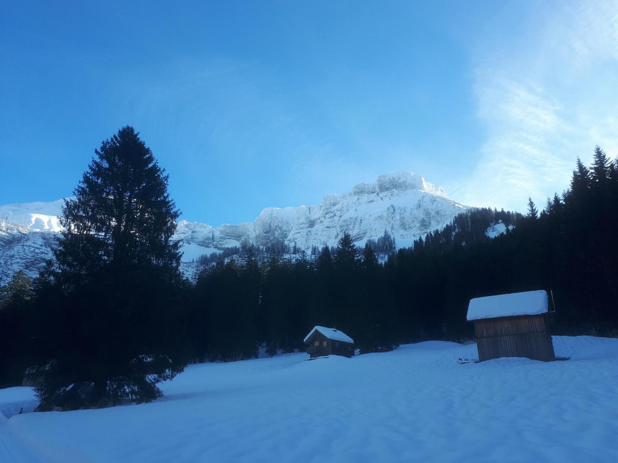 Pension Ladner Otel Grundlsee Dış mekan fotoğraf