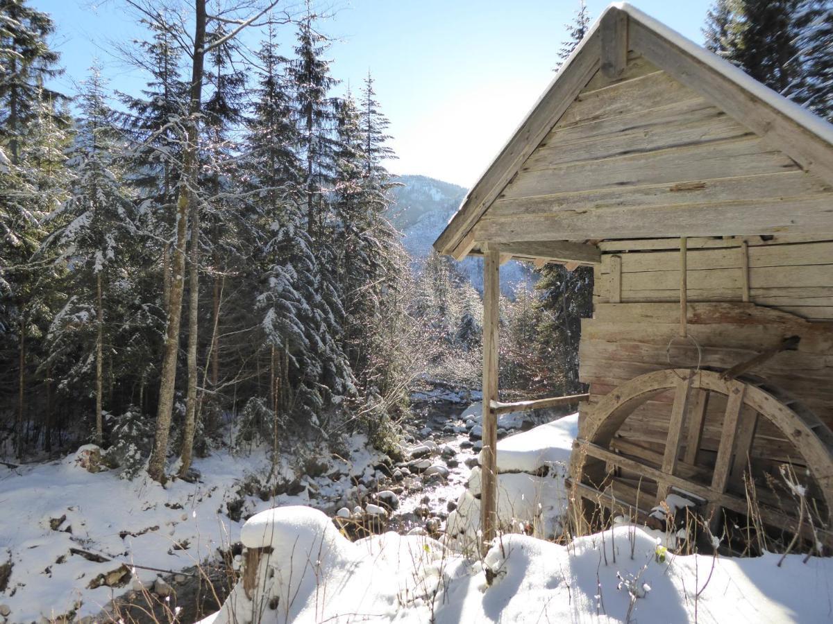 Pension Ladner Otel Grundlsee Dış mekan fotoğraf